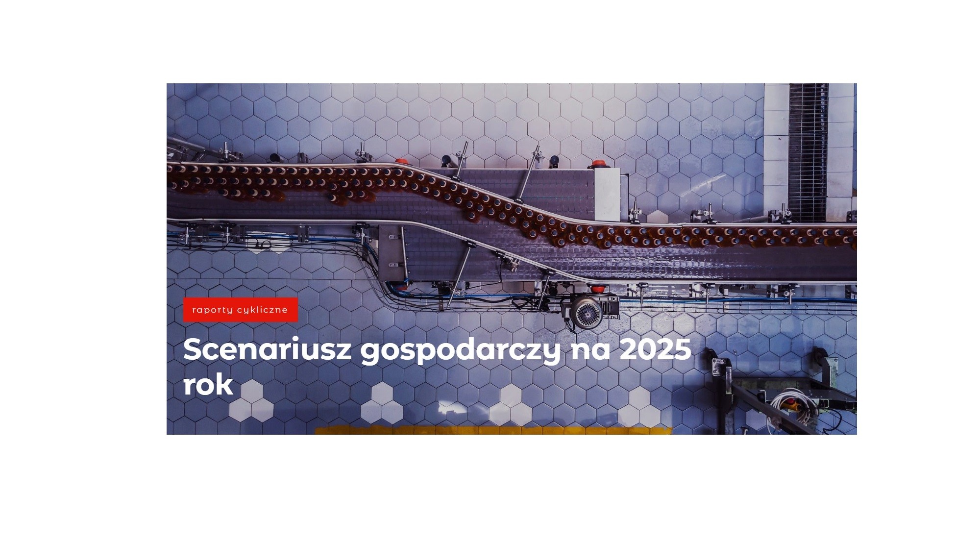 Scenariusz gospodarczy na 2025-MBank